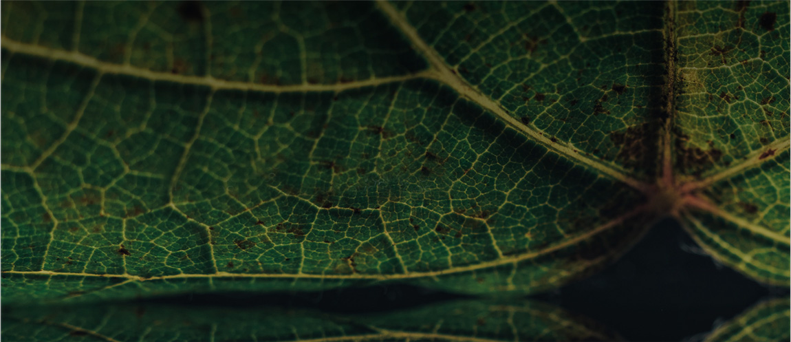 Gestão de patrimônio